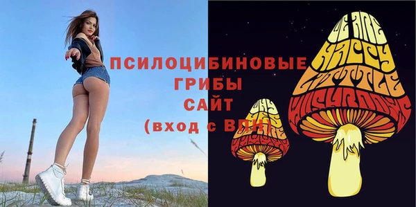 дмт Балабаново